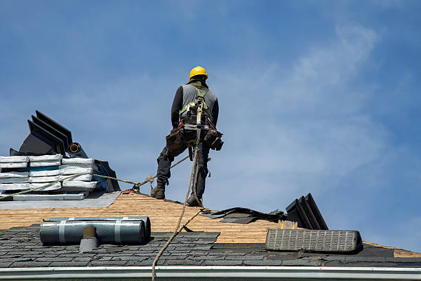 Professional Flat Roof Repair technician working in Hospers, IA
